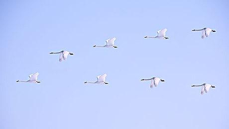 2D清版动作《永生：伴随着死亡》公布 首支演示公开